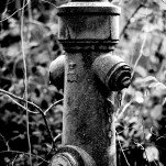 Wasserhydrant